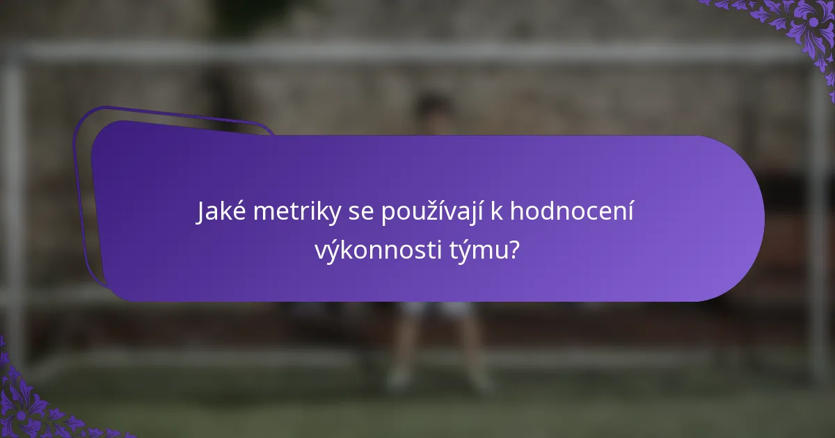 Jaké metriky se používají k hodnocení výkonnosti týmu?