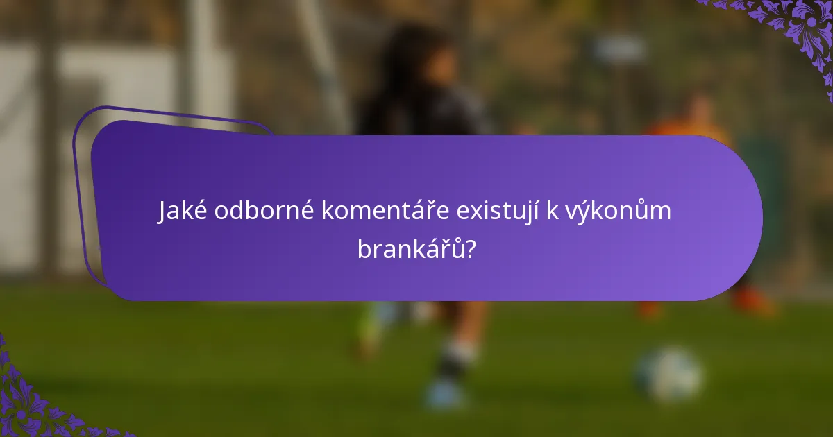 Jaké odborné komentáře existují k výkonům brankářů?
